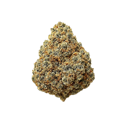 All Nations 18/1 SF (Mandarin Cookies)