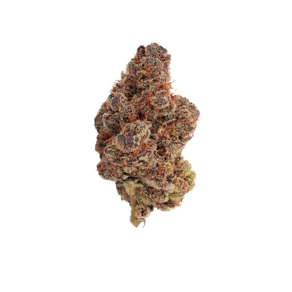 AMICI 22/1 BH (Blueberry Headband)